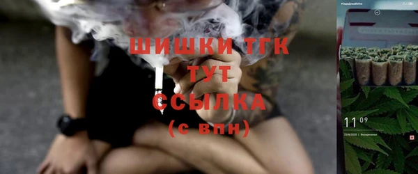крисы Сатка