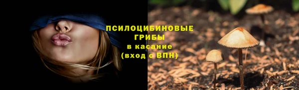 крисы Сатка