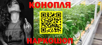 PSILOCYBIN Заволжье