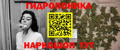 мяу мяу мука Беслан