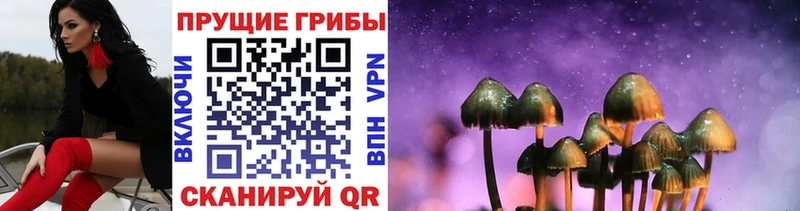 Псилоцибиновые грибы мицелий  Калининград 