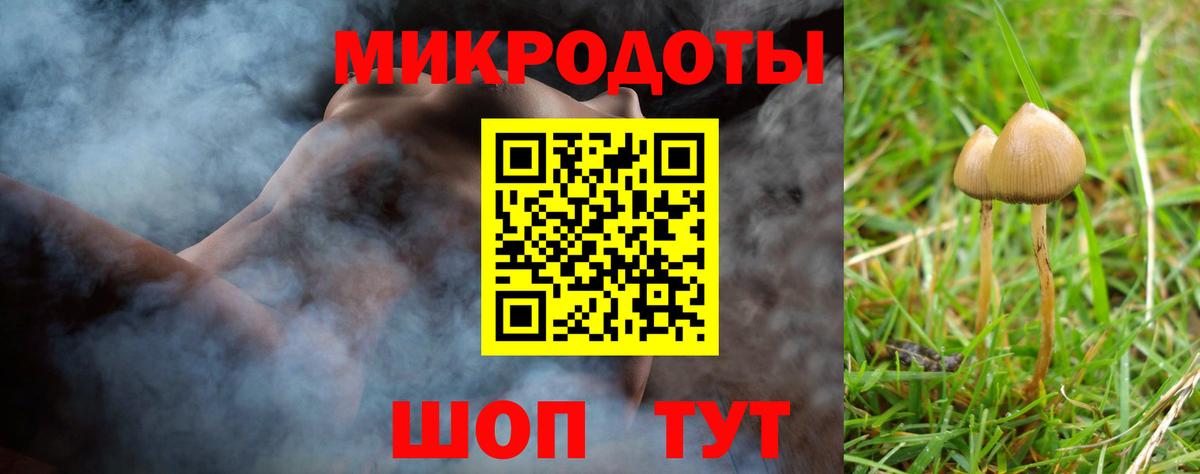 Калининград  Псилоцибиновые грибы GOLDEN TEACHER  Вход с VPN 