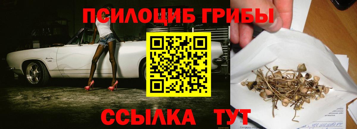 Псилоцибиновые грибы мицелий Калининград
